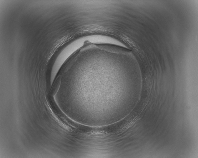 X0000052640638200507082006