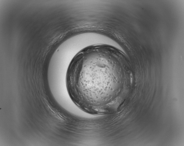X0000052640639200507082006