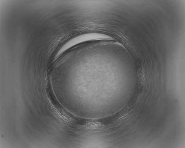 X0000052640642200507082006