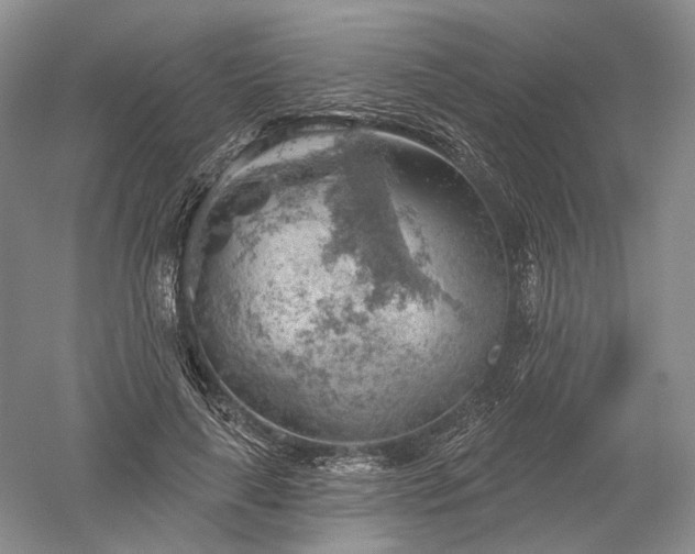 X0000052640643200507082006