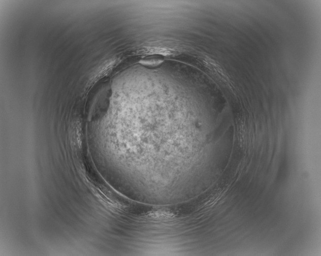 X0000052640644200507082006