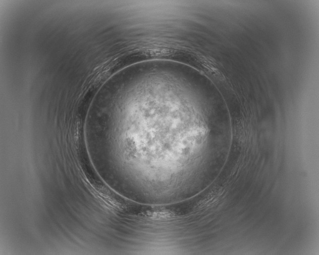 X0000052640645200507082006