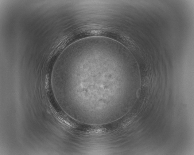 X0000052640646200507082006