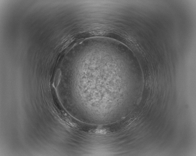 X0000052640647200507082006