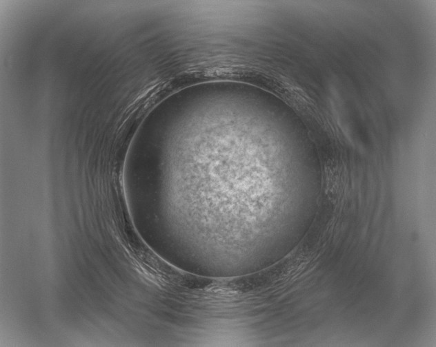 X0000052640648200507082006