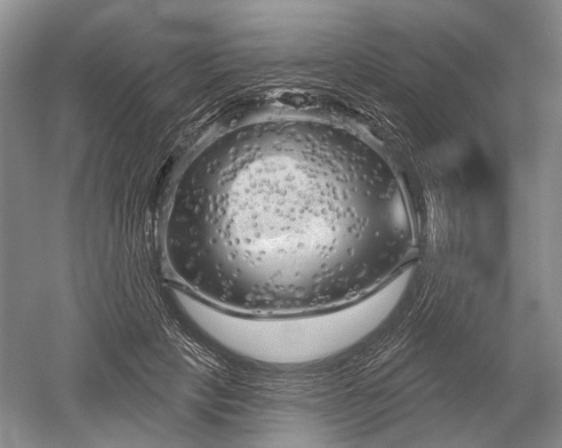X0000052640649200507082006