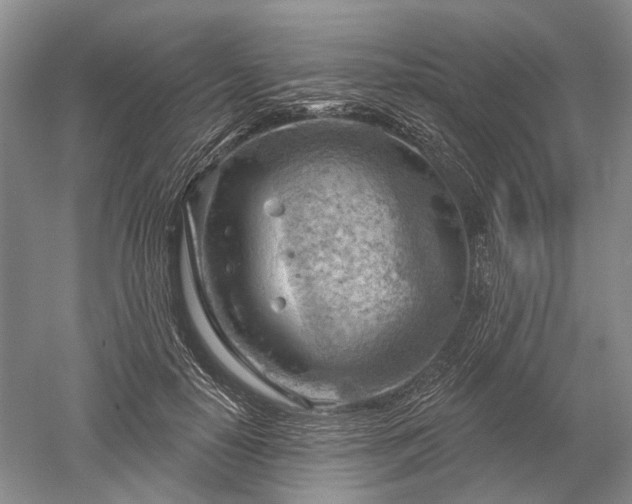 X0000052640650200507082007