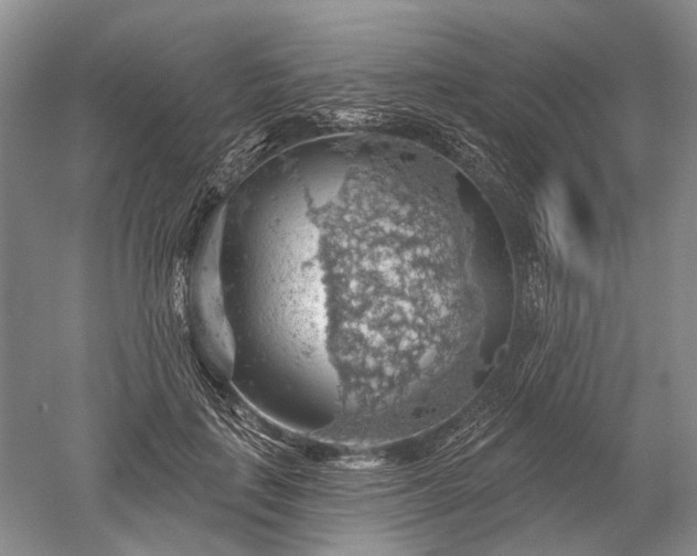 X0000052640651200507082007