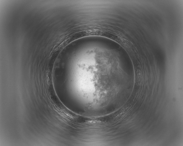 X0000052640654200507082007