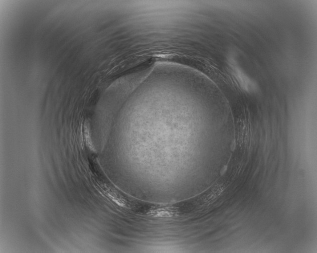 X0000052640655200507082007