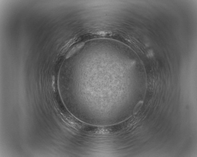 X0000052640656200507082007