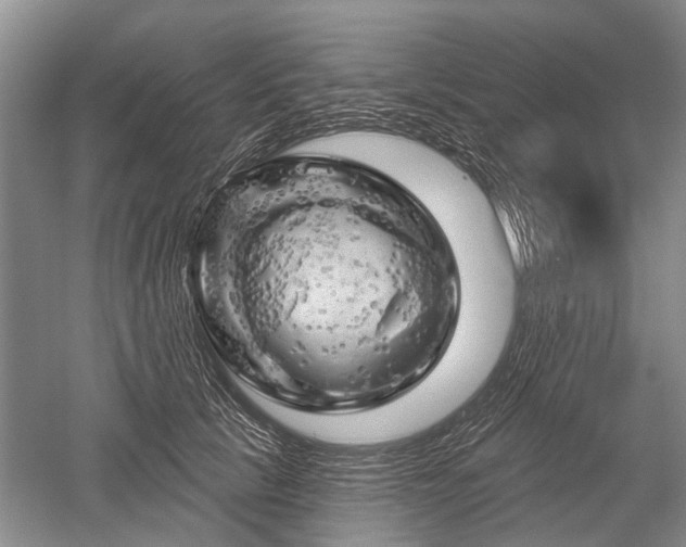 X0000052640657200507082007