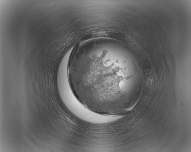 X0000052640658200507082007