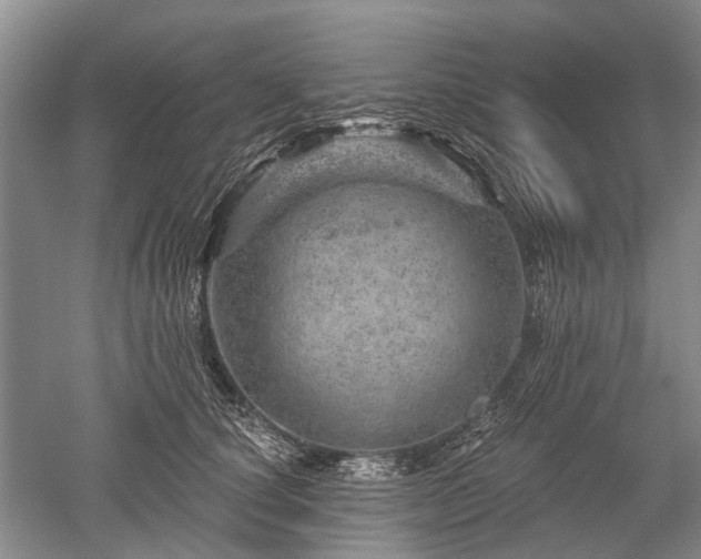 X0000052640660200507082007