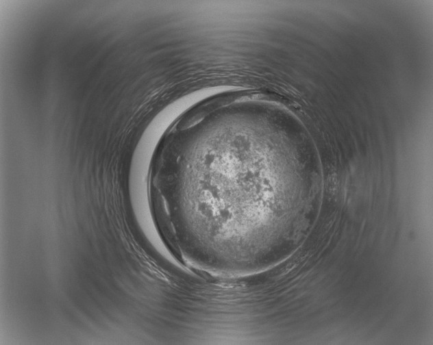 X0000052640662200507082007