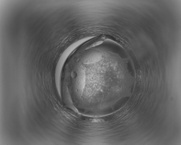 X0000052640663200507082007