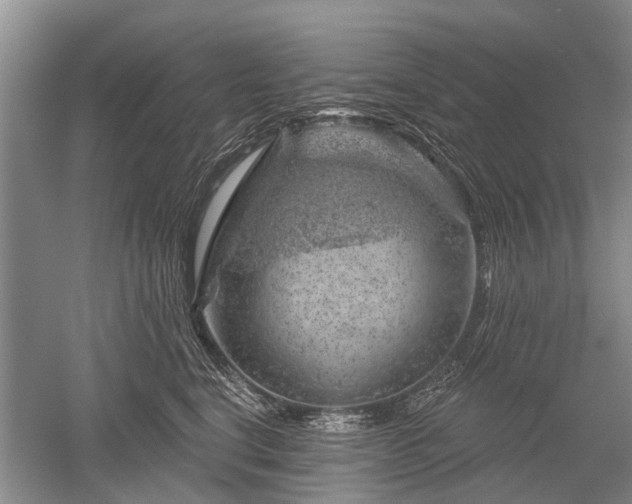 X0000052640664200507082007