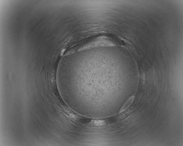 X0000052640665200507082007