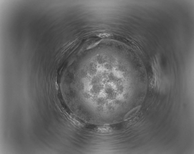 X0000052640666200507082007