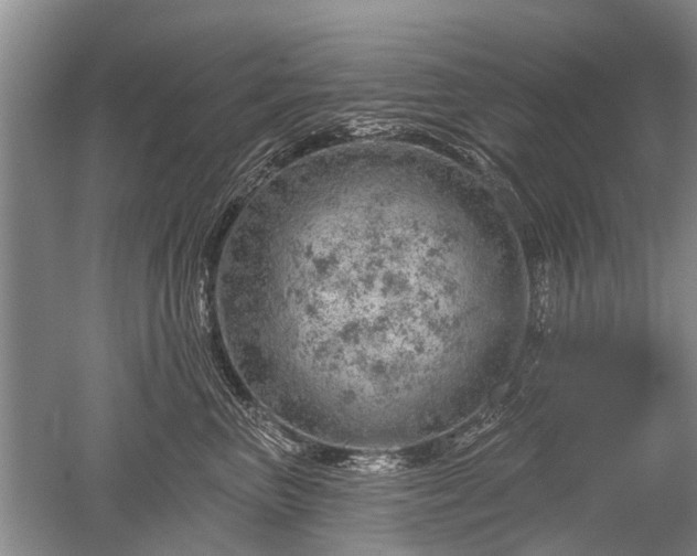 X0000052640667200507082007