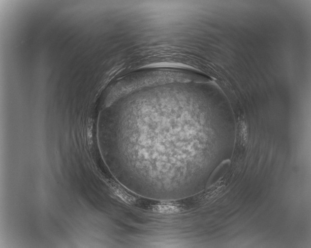 X0000052640668200507082007