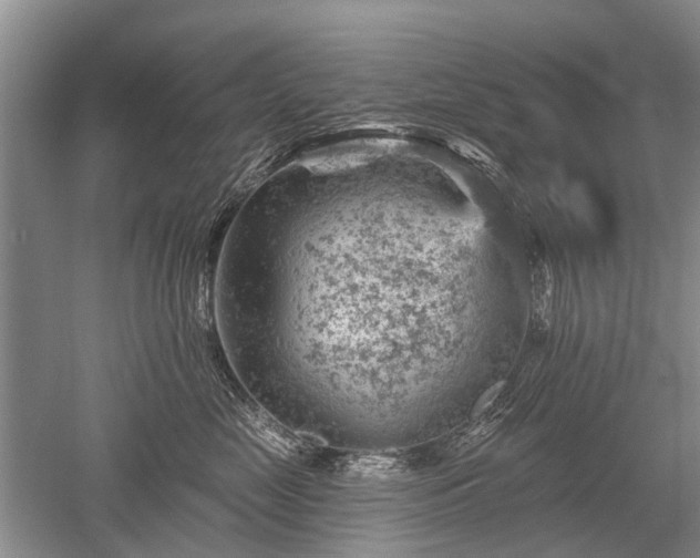 X0000052640669200507082007