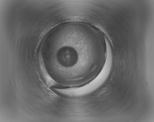 X0000052640673200507082006