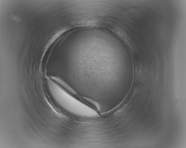 X0000052640674200507082006