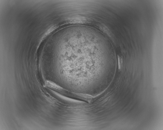 X0000052640675200507082006