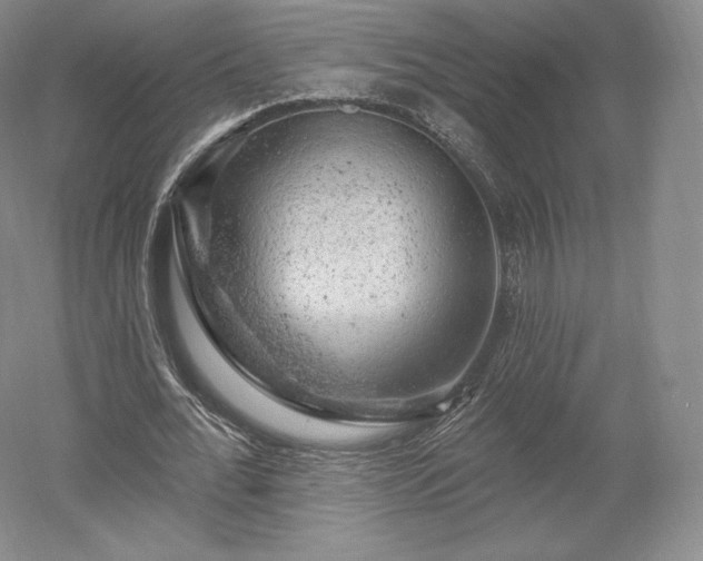 X0000052640676200507082006