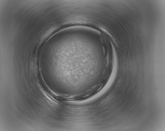 X0000052640677200507082006