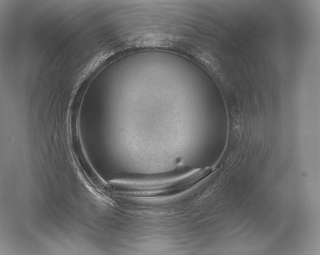 X0000052640678200507082006