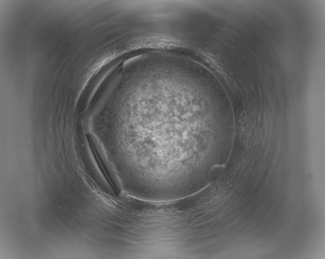 X0000052640679200507082006