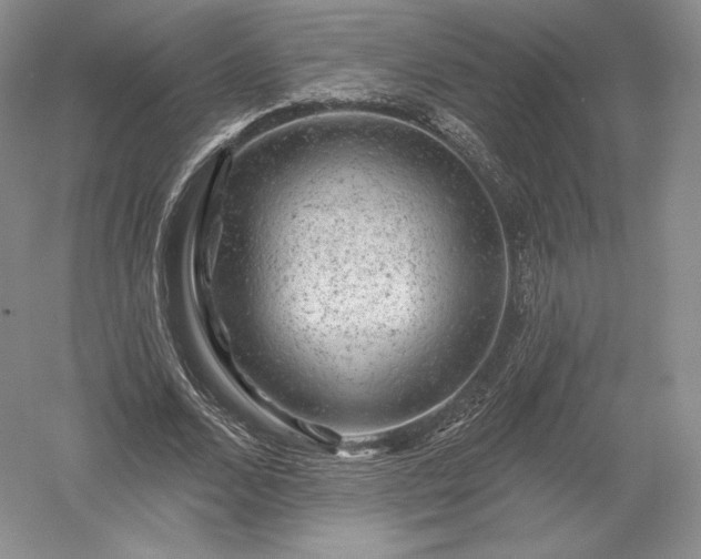 X0000052640680200507082006