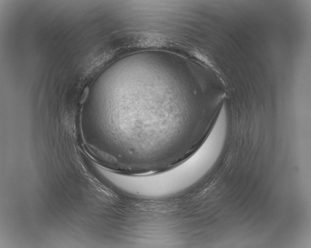 X0000052640681200507082006