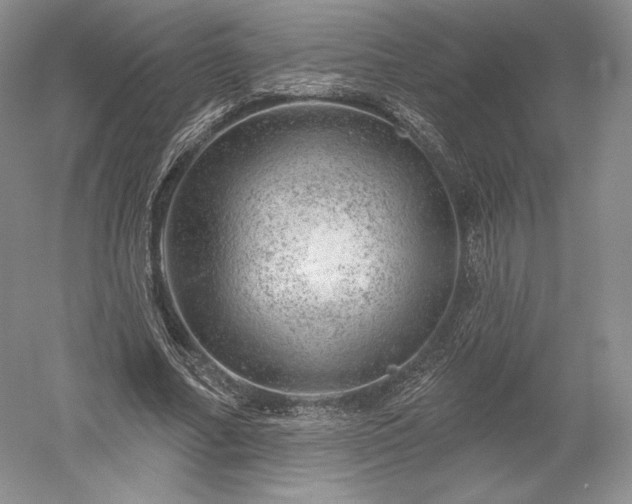 X0000052640682200507082006