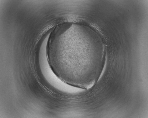 X0000052640683200507082006