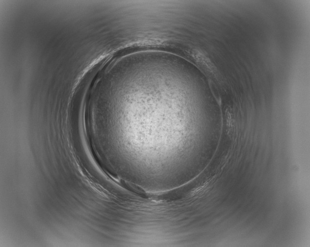 X0000052640684200507082006