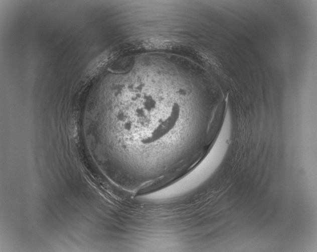 X0000052640687200507082006