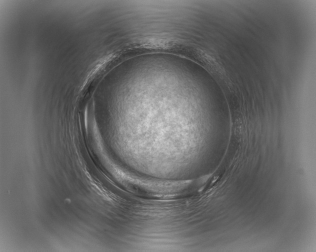 X0000052640688200507082006