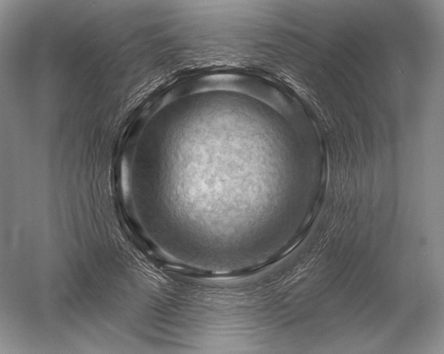 X0000052640689200507082006