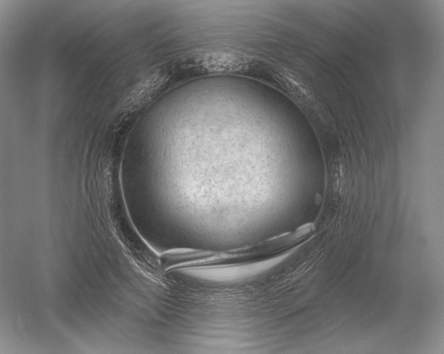 X0000052640690200507082006