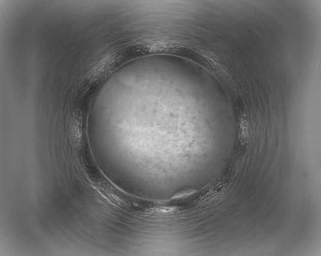 X0000052640691200507082006