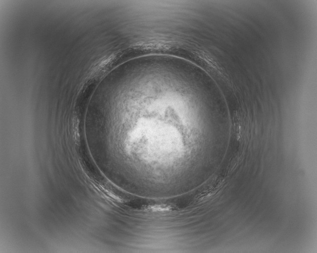 X0000052640692200507082006