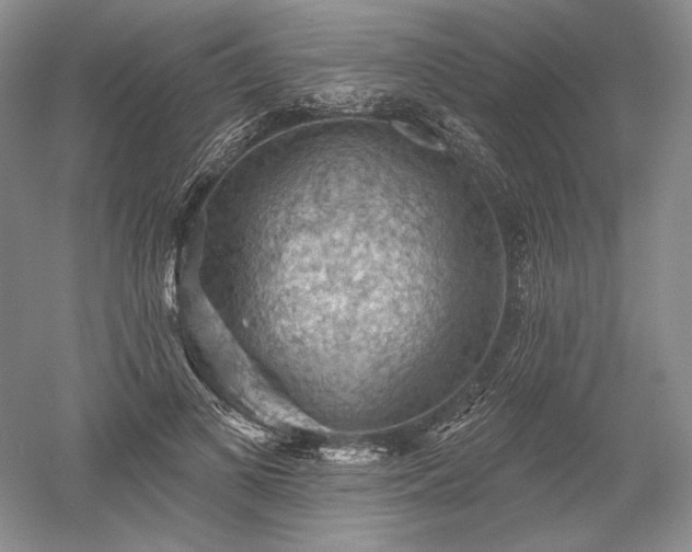 X0000052640693200507082006