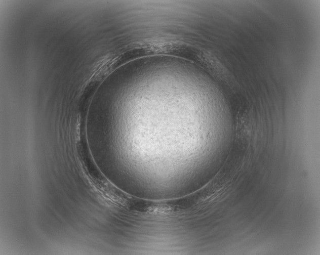 X0000052640694200507082006