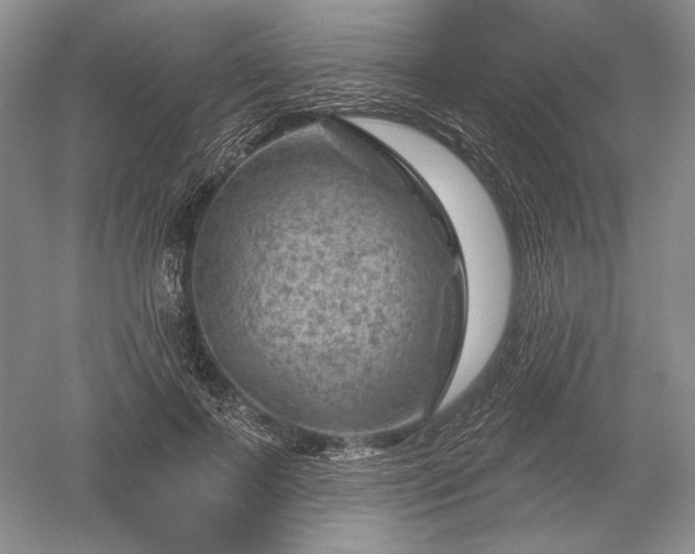 X0000052640695200507082006