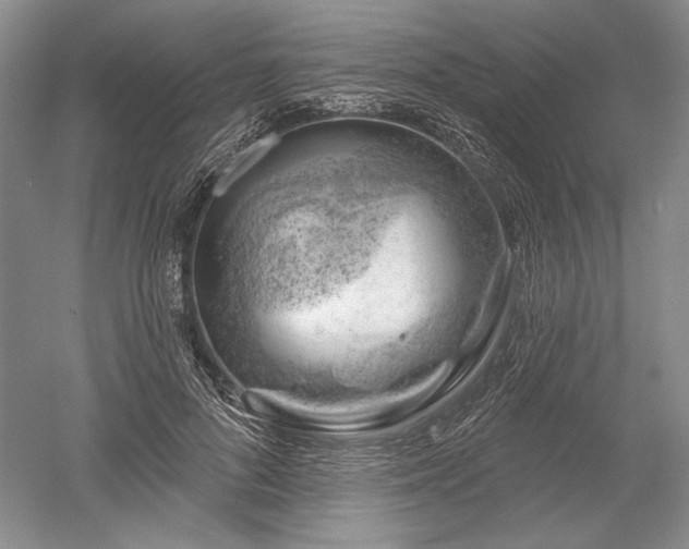 X0000052640696200507082006