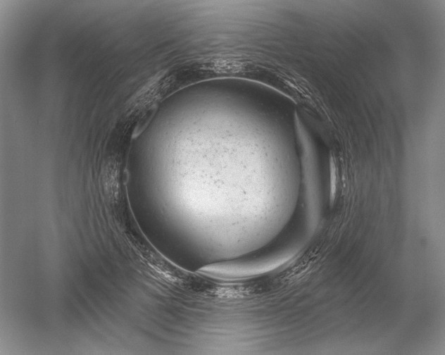 X0000052640697200507082006