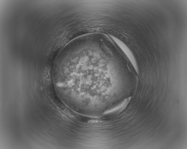 X0000052640699200507082006